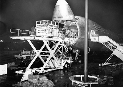 Horses being loaded at Stansted for a flight to Australia