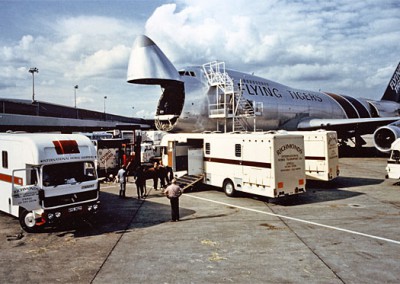 Horses being offloaded from truck ready to onload into stalls and board aircraft